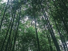 -普照寺