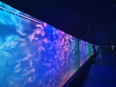 -左海海底世界