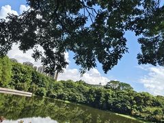 -东莞植物园