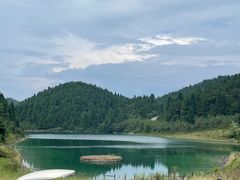-武陵山森林公园
