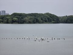 -海珠湖公园