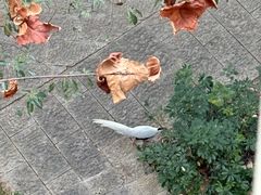 -福道