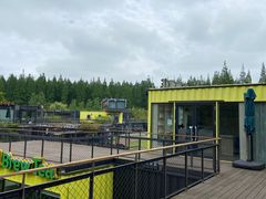 -黄海国家森林公园