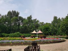 -黑龙江省森林植物园