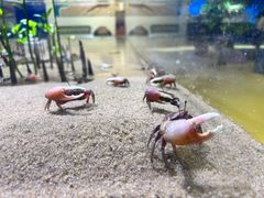 -欢乐海岸海洋奇梦馆