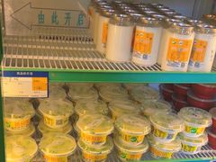 -德禄酸奶(小公园店)