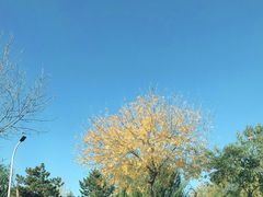 -绿堤公园