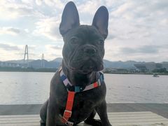 -琅岐红光湖公园