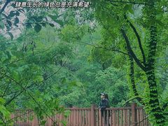 -江苏三台山国家森林公园