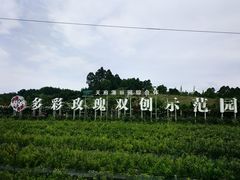 -都江堰玫瑰花溪谷