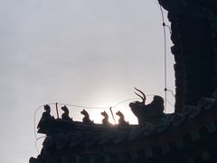 -颐和园