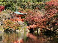 -醍醐寺