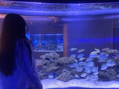 -上和臻品中国菜(花园街店)