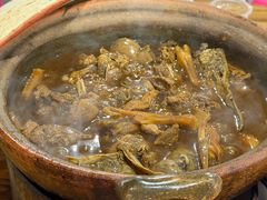 -霞姐屯昌枫木香草鸭店(海螺店)