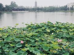 -西海子公园
