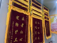 -东莞宠友24H宠物中心医院·转诊夜诊·异宠(新河北路院)