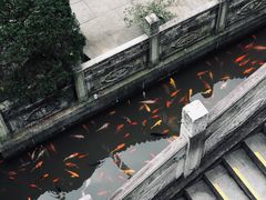 景点-杭州上天竺法喜讲寺
