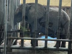 -石家庄市动物园