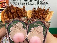 -撒拉花儿·新疆菜·清真(太阳宫店)