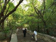 -千佛山风景名胜区