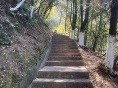 -云碧峰国家森林公园