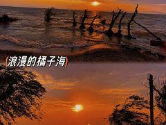 -捞渔河湿地公园