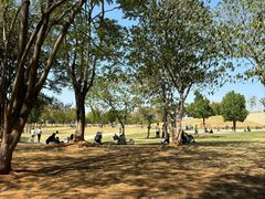 -盘龙城国家考古遗址公园