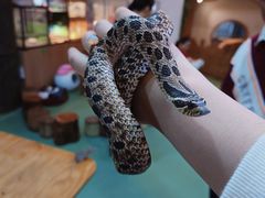 -藦茜花园宠物主题亲子互动体验馆(国顺东路店)
