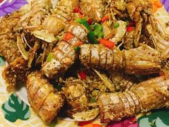 -小叶大馅饺子城