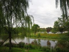 -东郊湿地公园