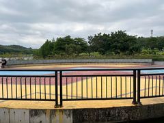 -东莞植物园