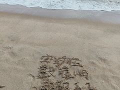 -贝壳梦幻世界