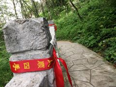-陕西省红河谷森林公园