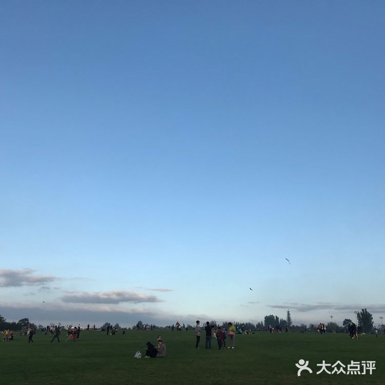 曲江休闲攻略！遛狗溜娃这里很行！不要钱