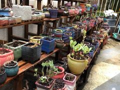 -旧屋咖啡(海景店)