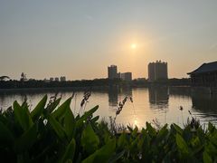 -顺峰山公园