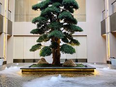 -外滩·云南人家(昆明旗舰店)