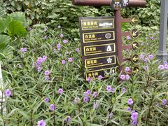 -南溪山景区