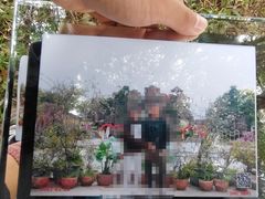 -松山湖梦幻百花洲