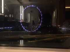-新加坡丽思卡尔顿美年酒店