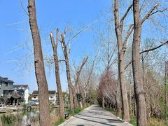 -同里国家湿地公园