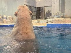 -大连圣亚海洋世界