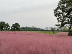 -汉长安城未央宫国家考古遗址公园