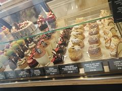 -Patagonia Chocolates(皇后镇店)