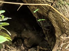 -敬亭山风景名胜区