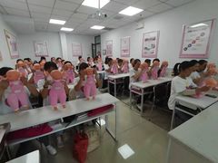 -爱月宝月嫂·育儿嫂