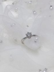 -钻石小鸟钻戒婚戒定制(石路店)