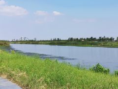 -春花秋色城市公园