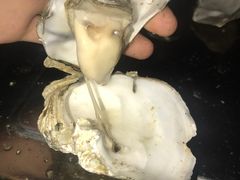 -八一湛江生蚝(文明东路总店)