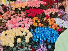 -越秀西湖花市(广州城市广场花卉店)